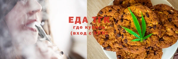 мдпв Ельня