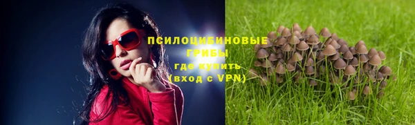 мдпв Ельня