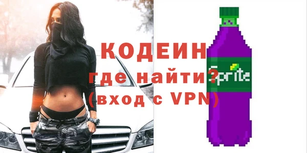мдпв Ельня