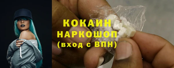 молекула духа Елизово