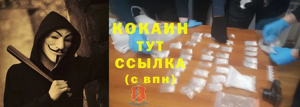 молекула духа Елизово