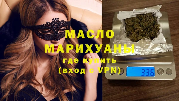 мдпв Ельня