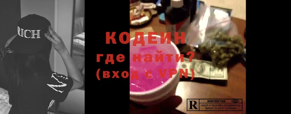 мдпв Ельня