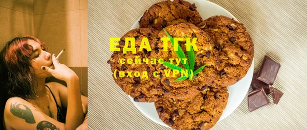 мдпв Ельня