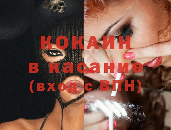 мдпв Ельня