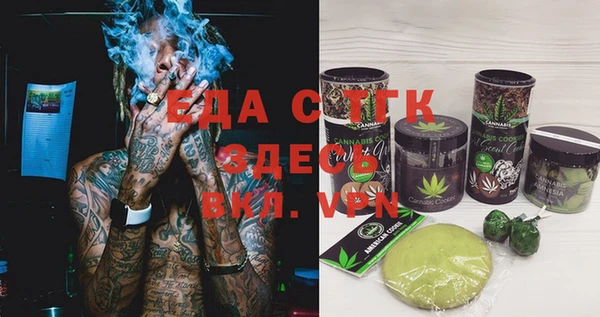 мдпв Ельня