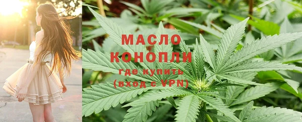 мдпв Ельня