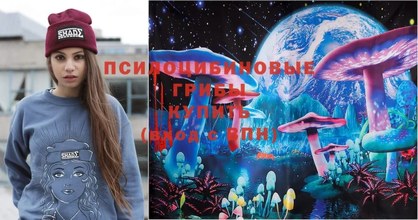 молекула духа Елизово