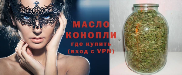 мдпв Ельня