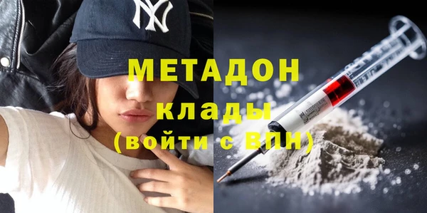 мдпв Ельня