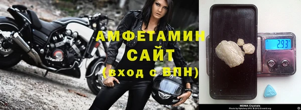 мдпв Ельня