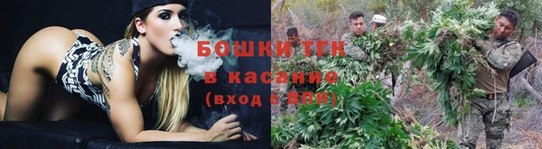 винт Елабуга