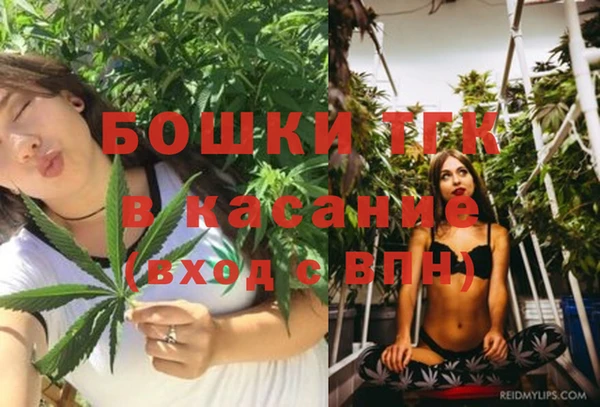 мдпв Ельня