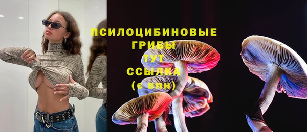 винт Елабуга